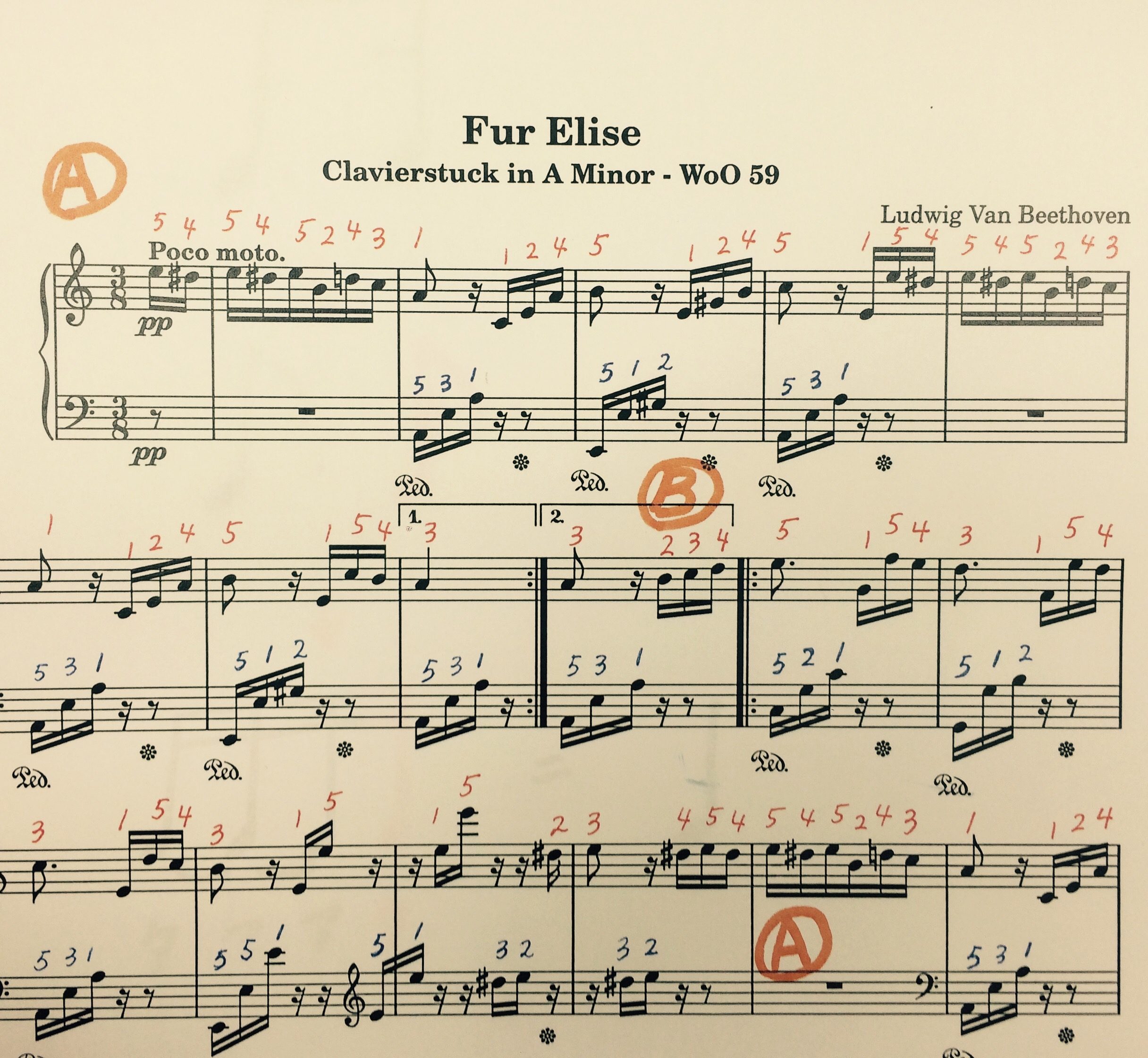 独学で『エリーゼのために』が弾けるようになるための完全ガイドSTEP3】「C」を片手ずつ弾けるようにしましょう！  独学で始めるピアノ上達のコツ／現役ピアノ講師が教えます